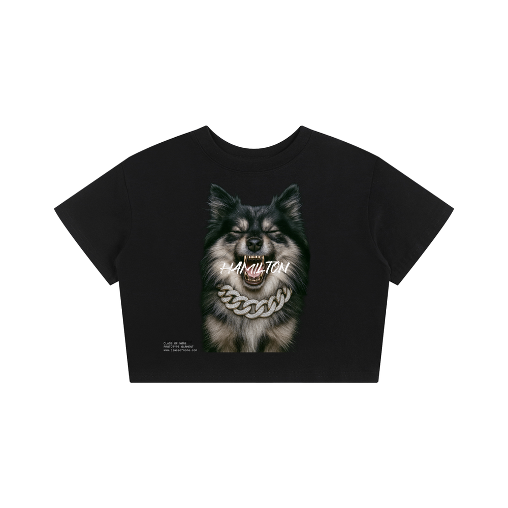 custom pet