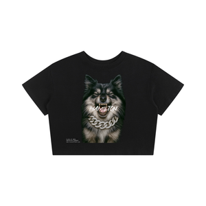 custom pet